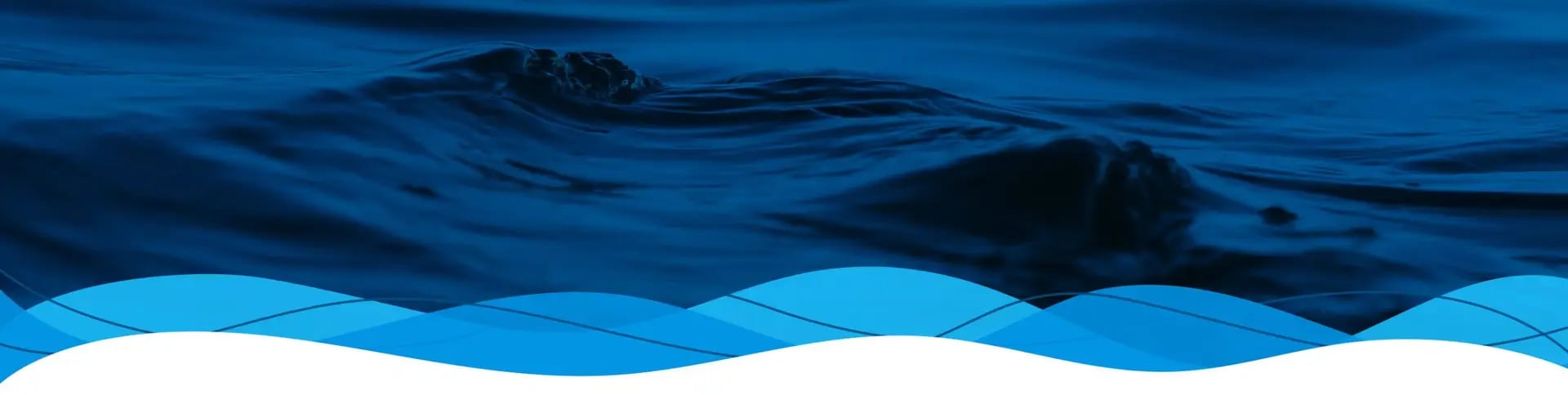 Hoy estarás conmigo en el paraíso