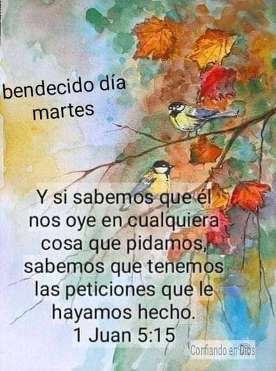 e702d33e-5b53-49d9-9ce1-f5687864cc99