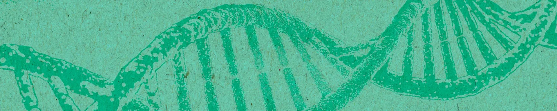 ADN: Avance genético