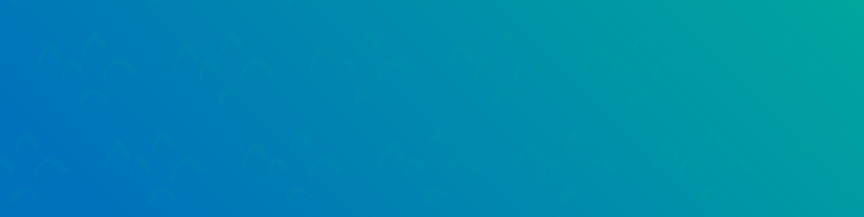 Go! Fin de Semana de Misiones 2024