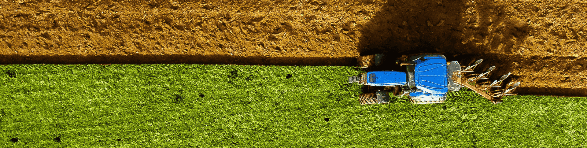 Enfocados en el Propósito y las Prioridades