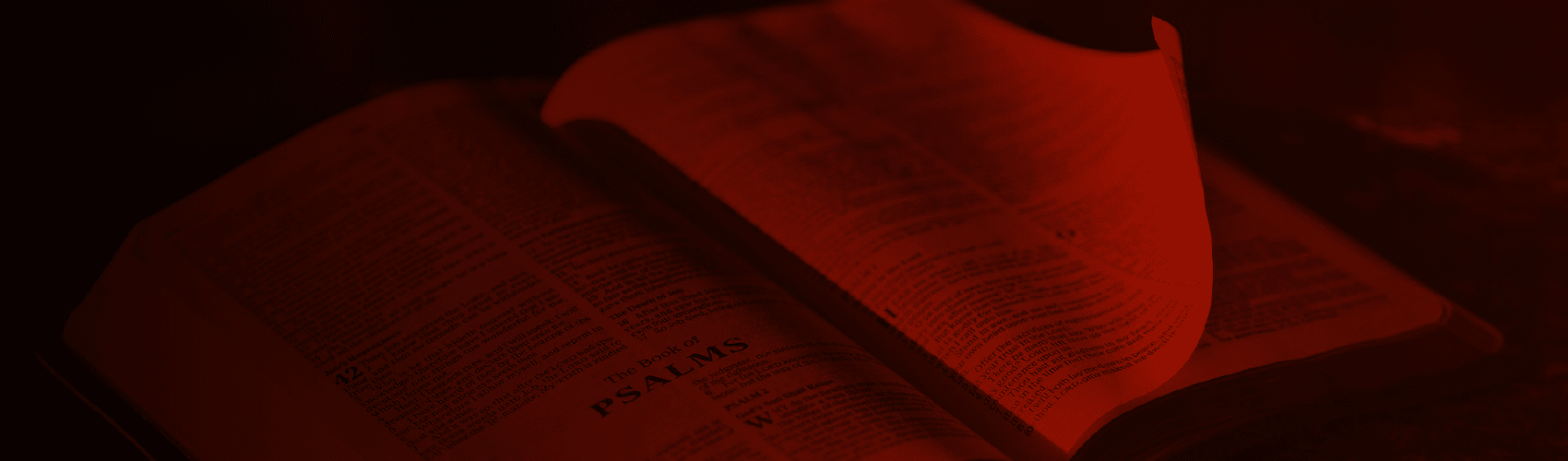 Doctrina Bíblica 6 (2020)