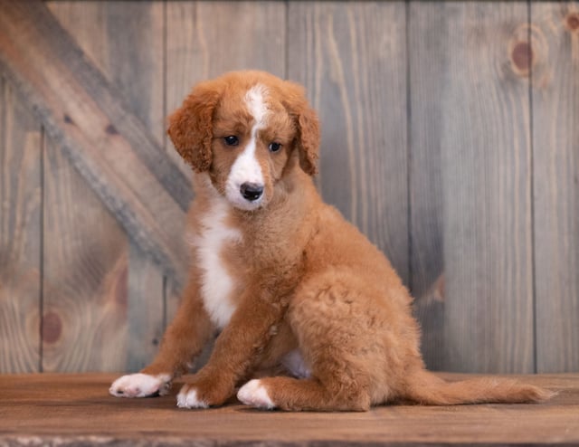 Ali is an   that should have  and is currently living in Iowa