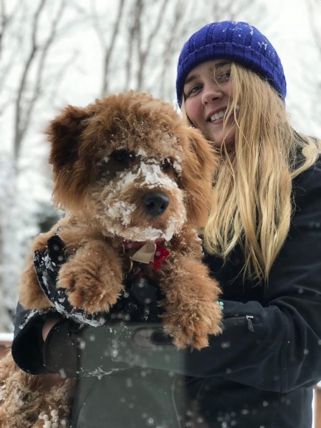 Girl holding snowy mini goldendoodle puppy