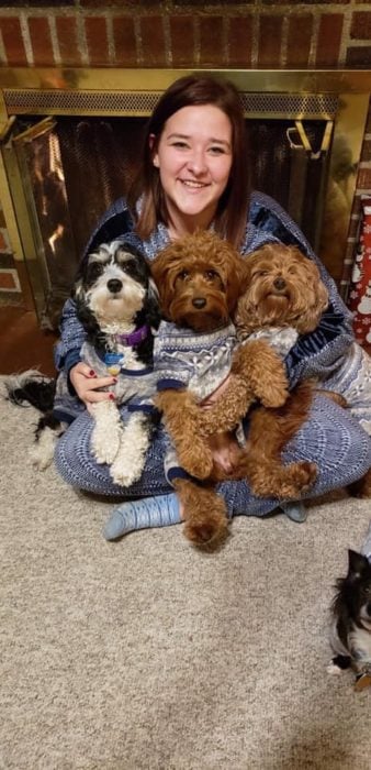 Guardain home with Mini Bernedoodle and Mini Goldendoodle pups