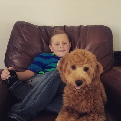 Mini Goldendoodle hanging with son watching TV