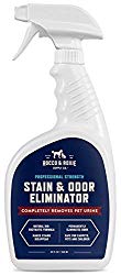 Stain remover for your mini goldendoodle