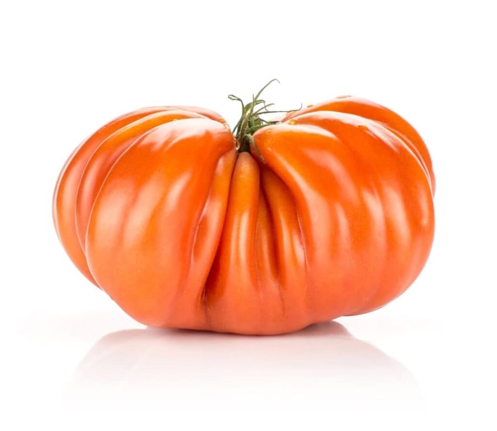 El tomate corazón de buey tiene un color rojo intenso y presenta arrugas en su piel.