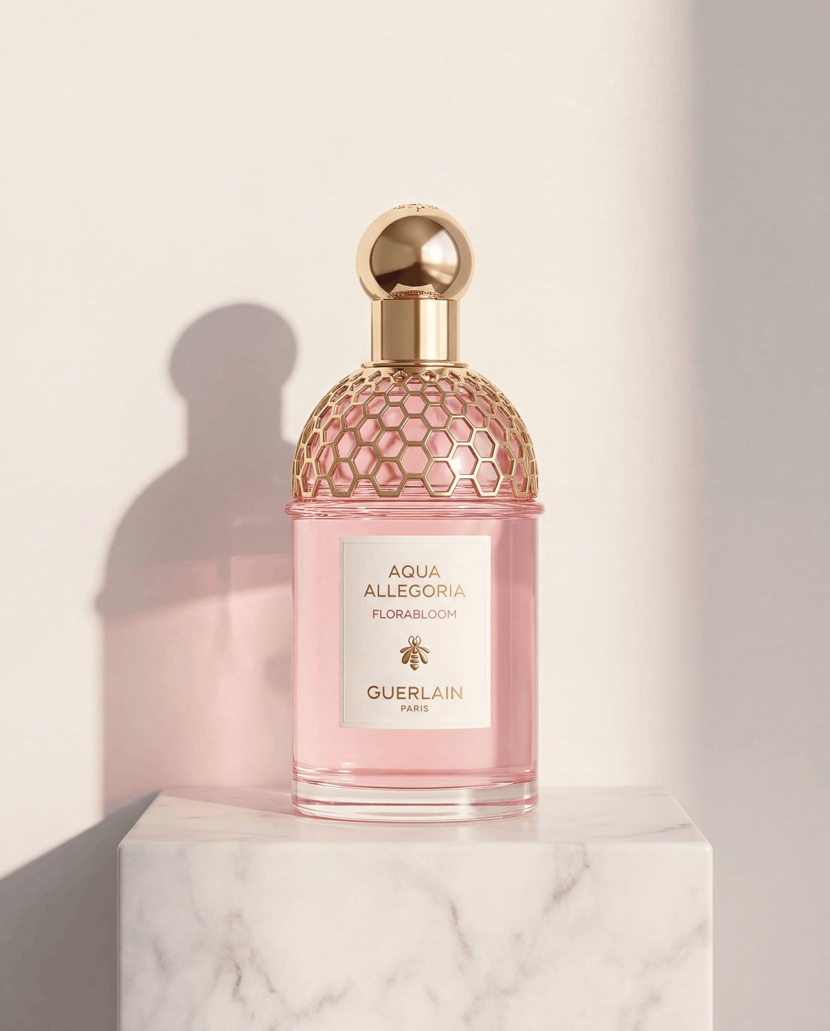 campaign