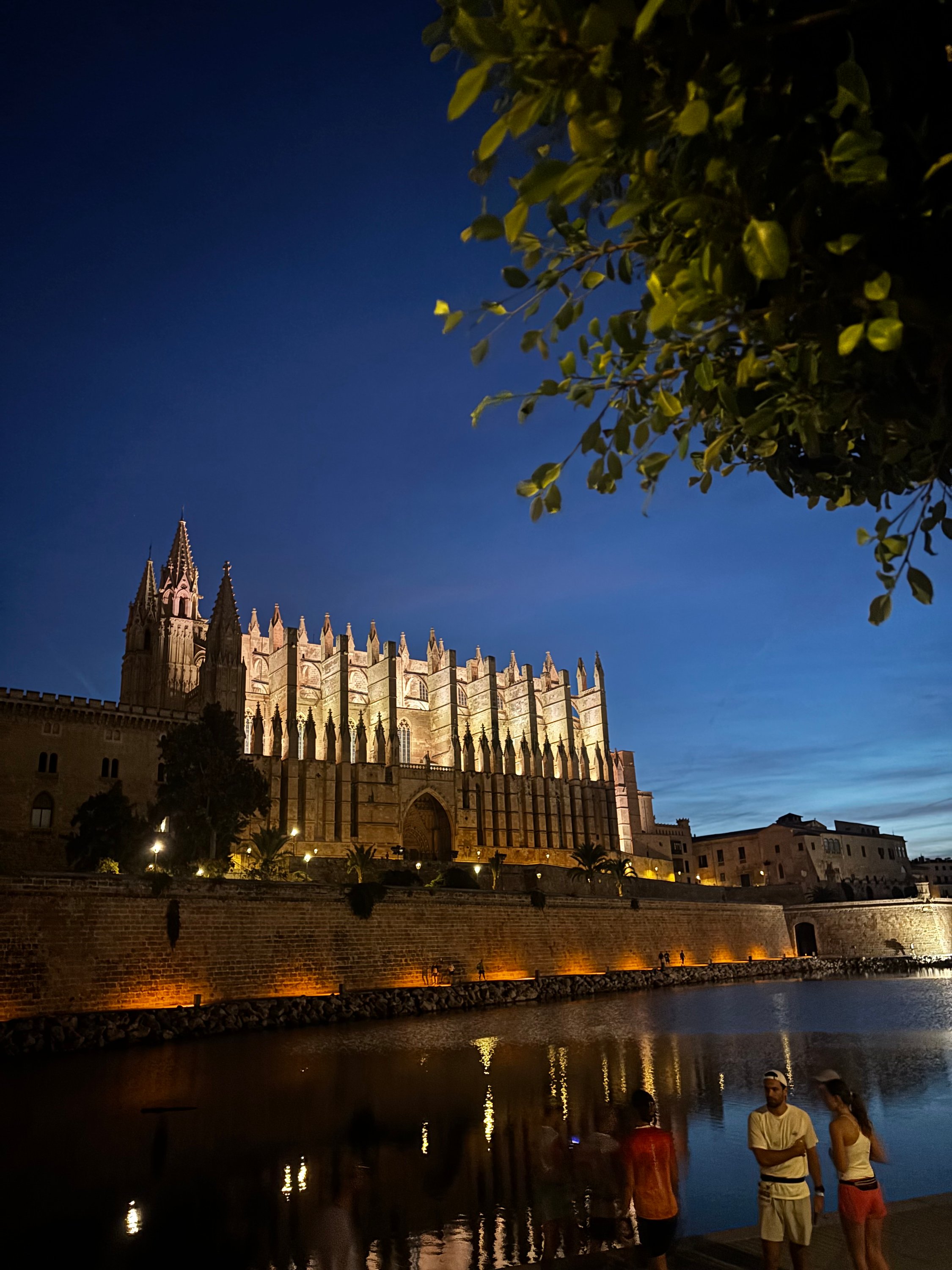 Palma Marathon & Half Marathon - Elin · Race Report