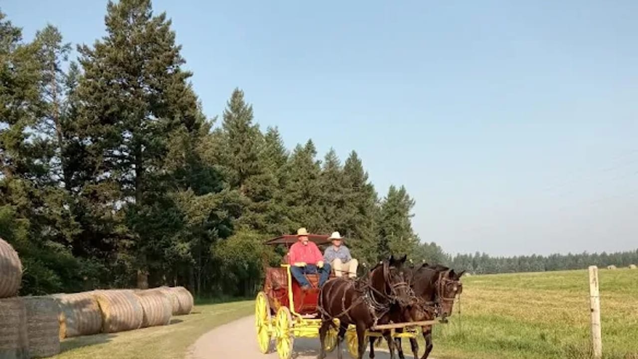 Opening Day at Wrangler Springs Ranch