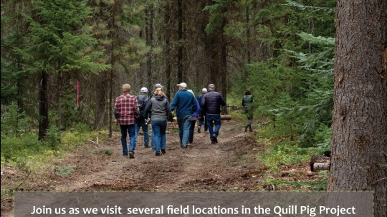 USFS Quill Pig Project
