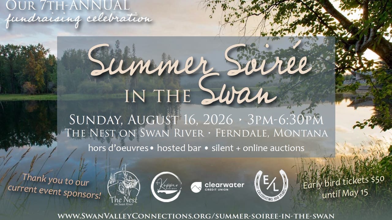 Summer Soirée in the Swan