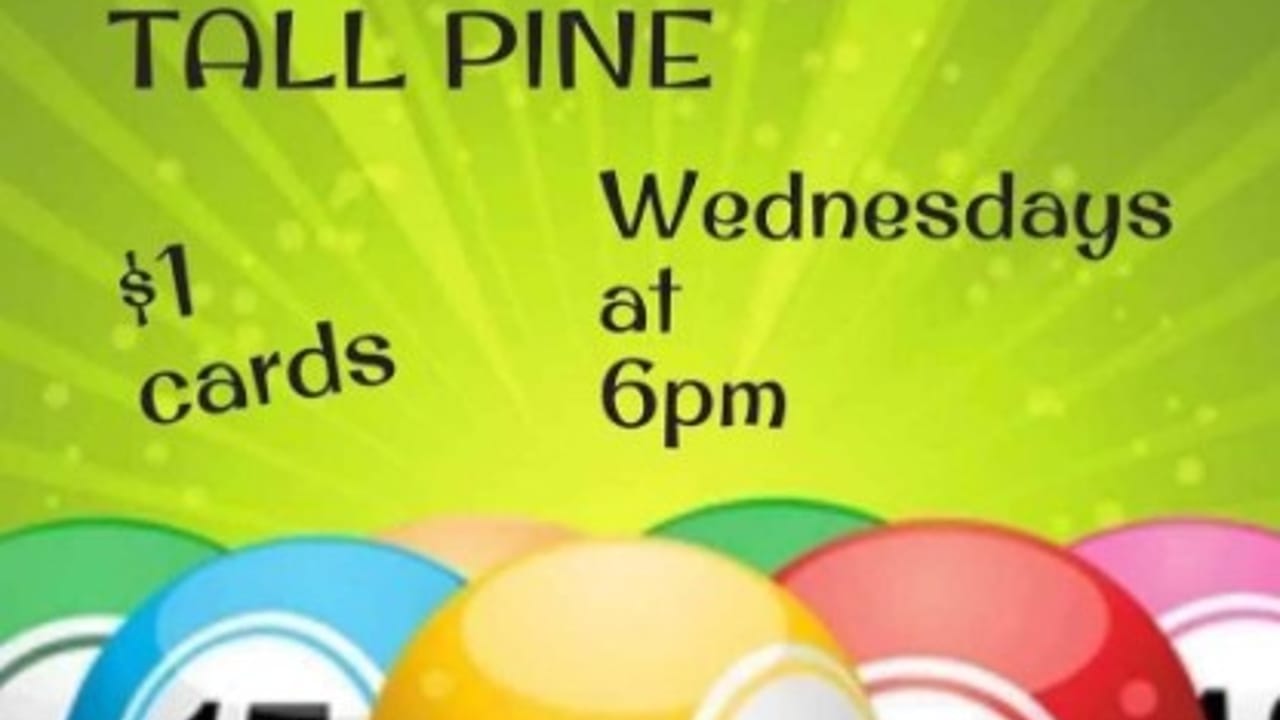 Bingo Night at the Tall Pine Lounge