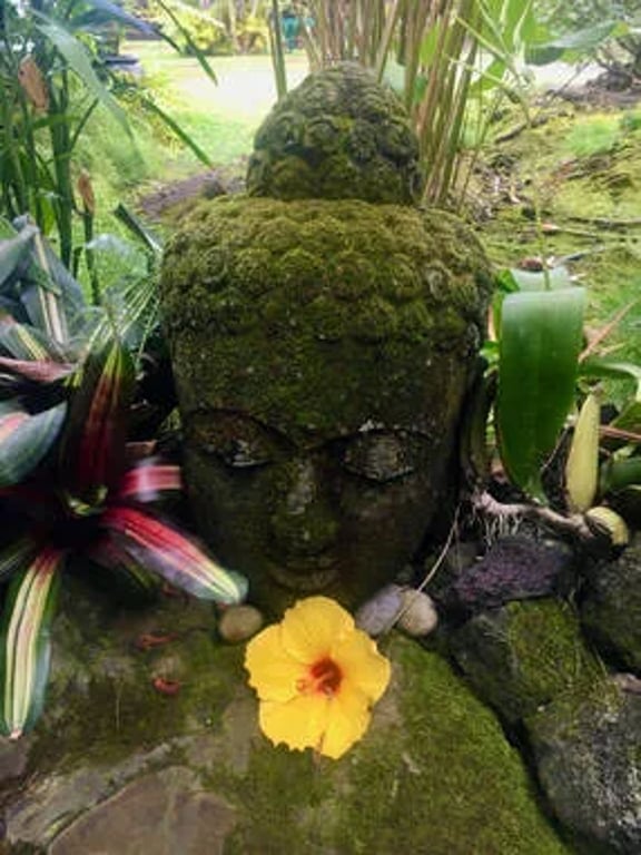 Gentle Flow & Chair Yoga by Krista Sanderson
