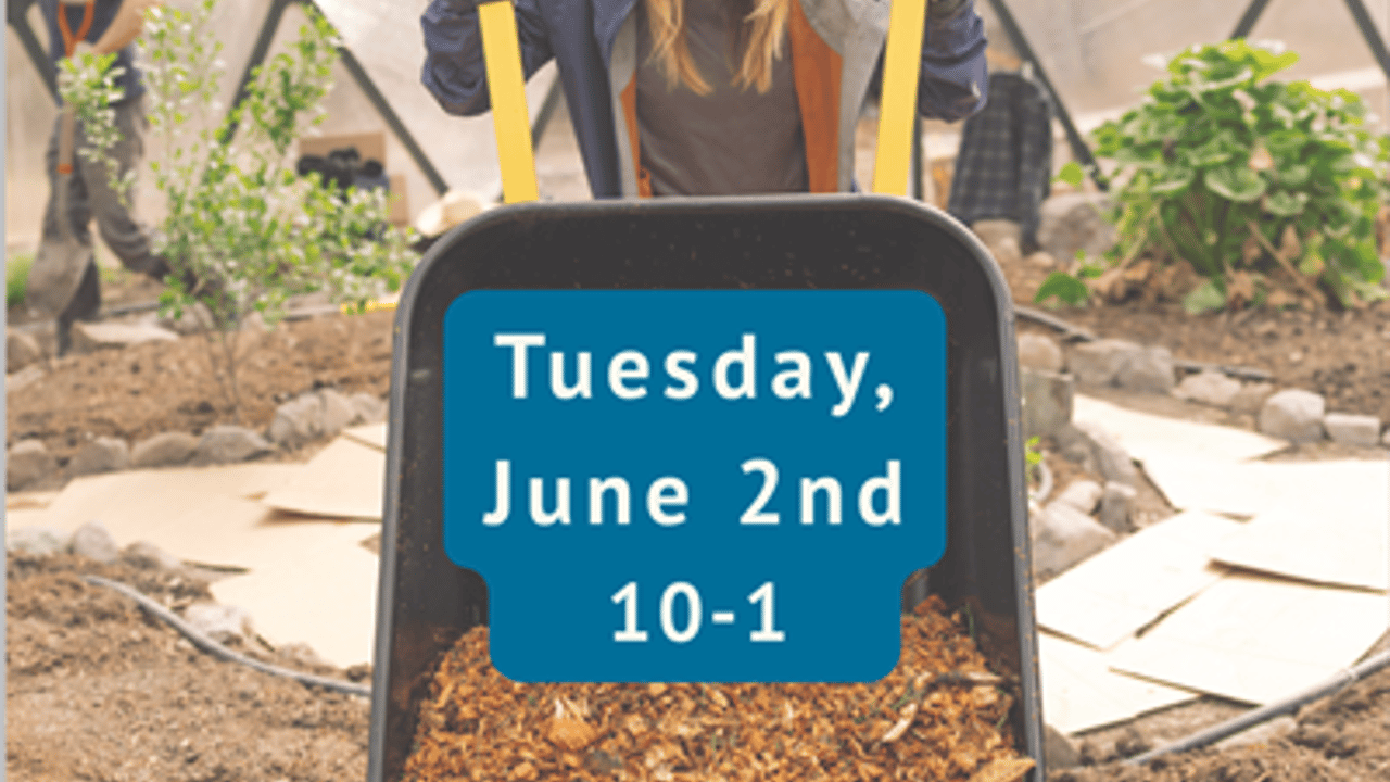 Selfless Service Day with Curative Yoga