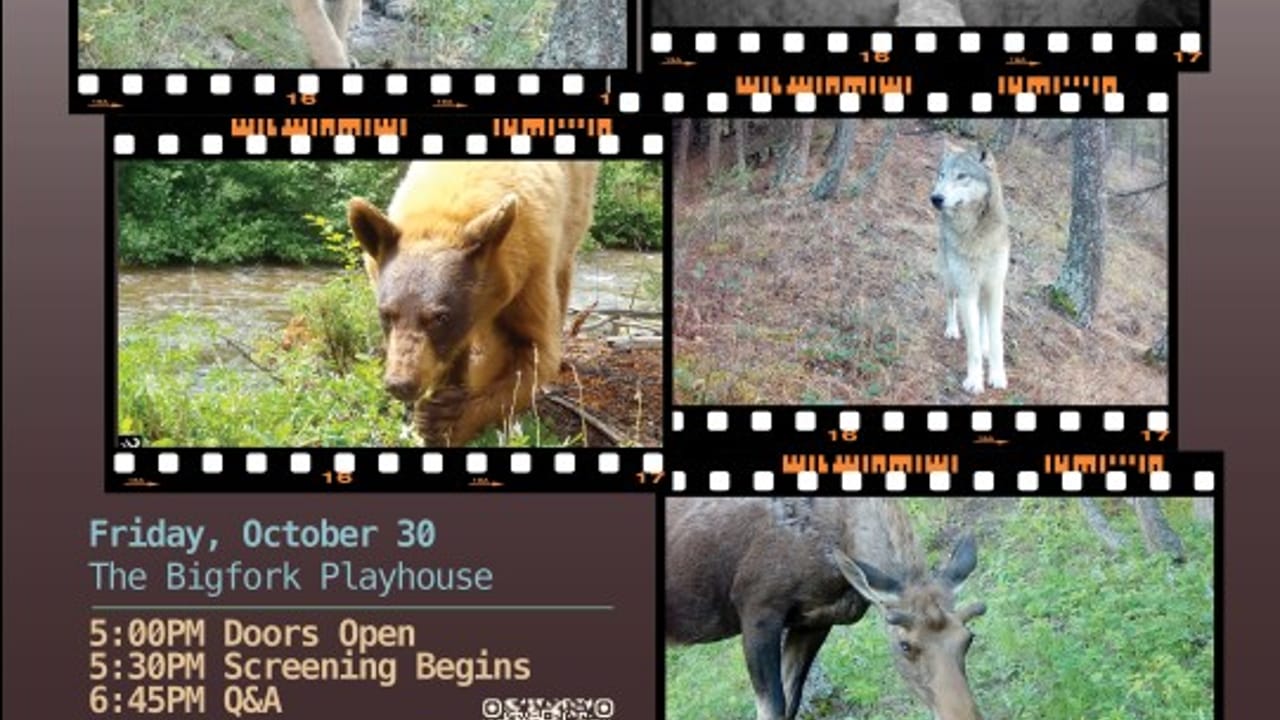 Trail Camera Movie Night at The Bigfork Playhouse