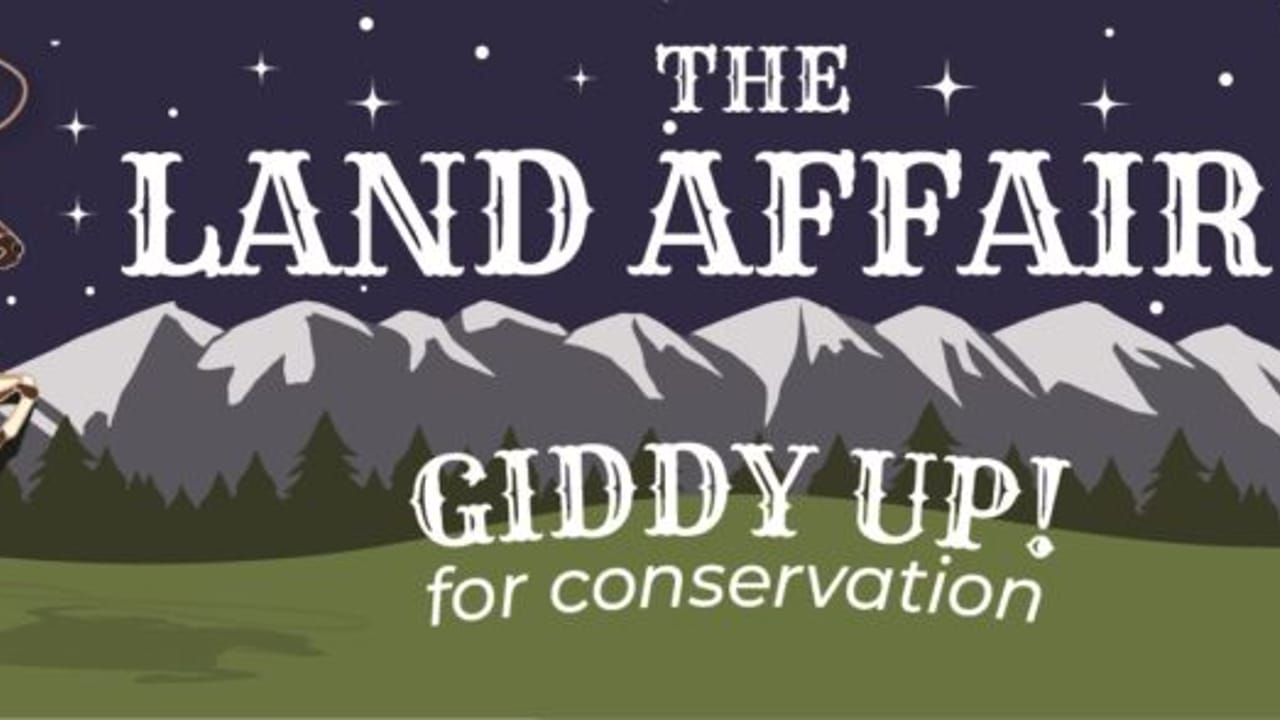 The Land Affair at Wrangler Springs Ranch