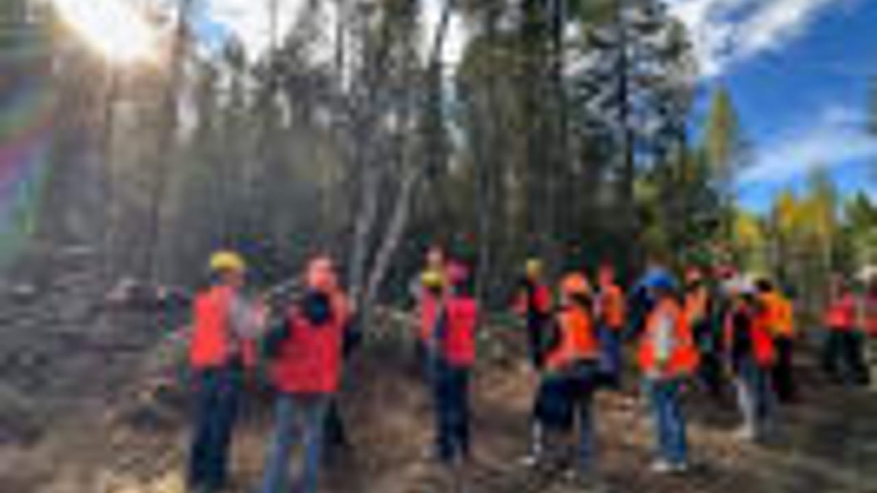 MFG Tour 2026 - Timber Tour - Community Tour/Job Seekers Tour/Students & Educators Tour