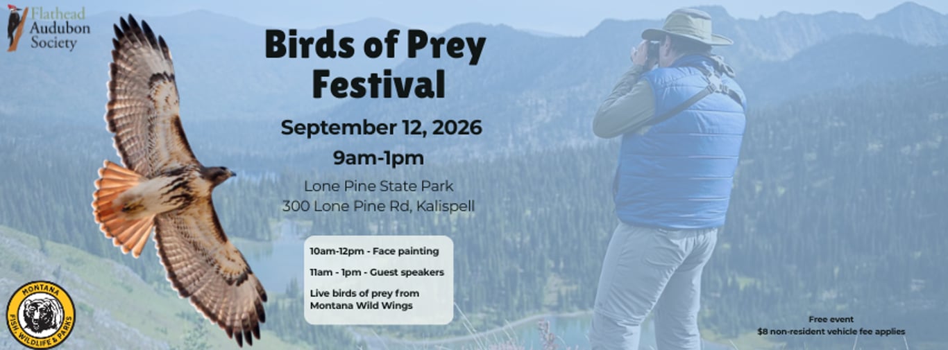 Birds of Prey Festival