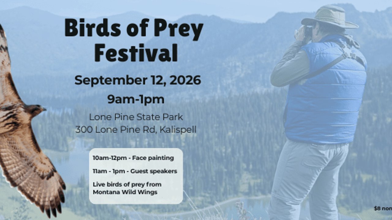 Birds of Prey Festival
