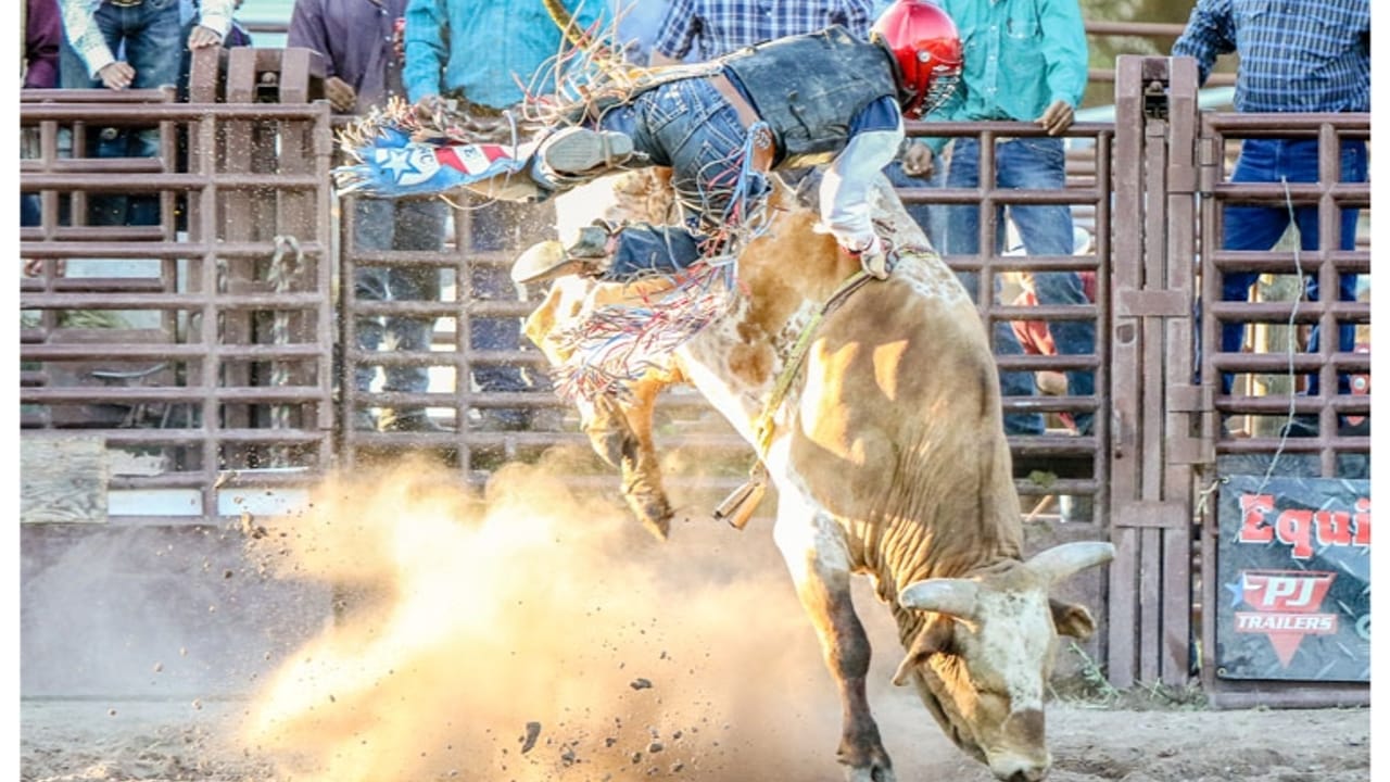 Brash Rodeo Summer Series