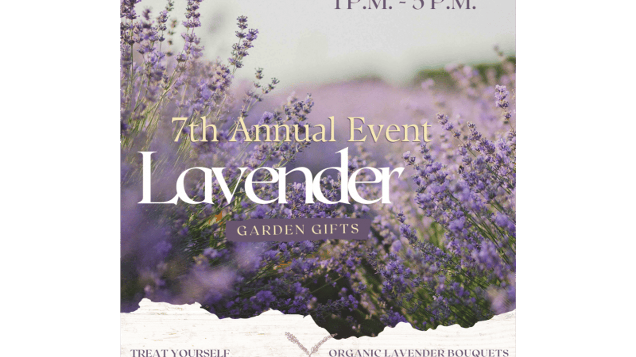 7th Annual Lavender Event