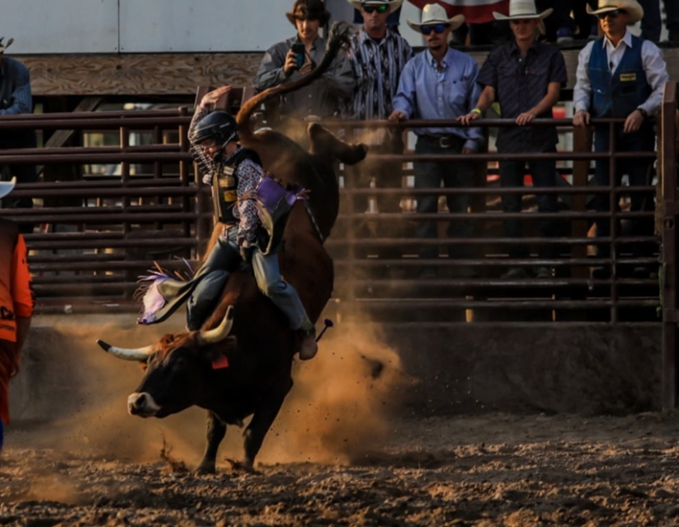 Brash Rodeo Summer Series