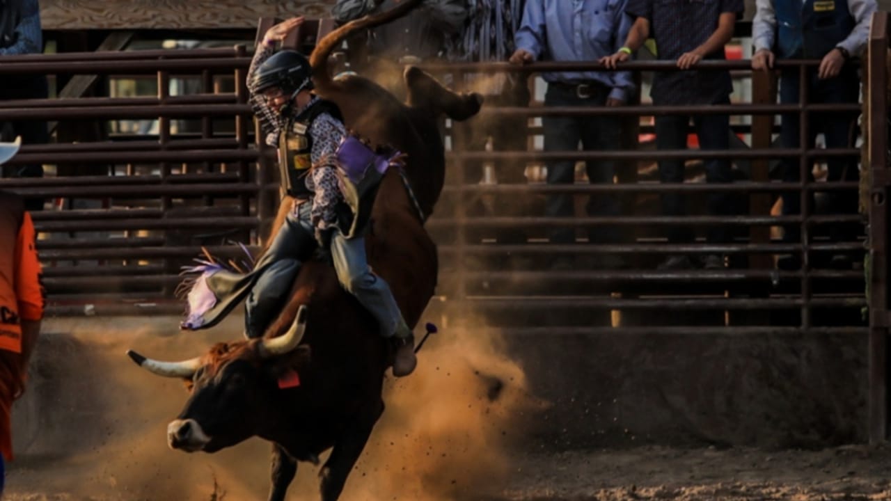 Brash Rodeo Summer Series