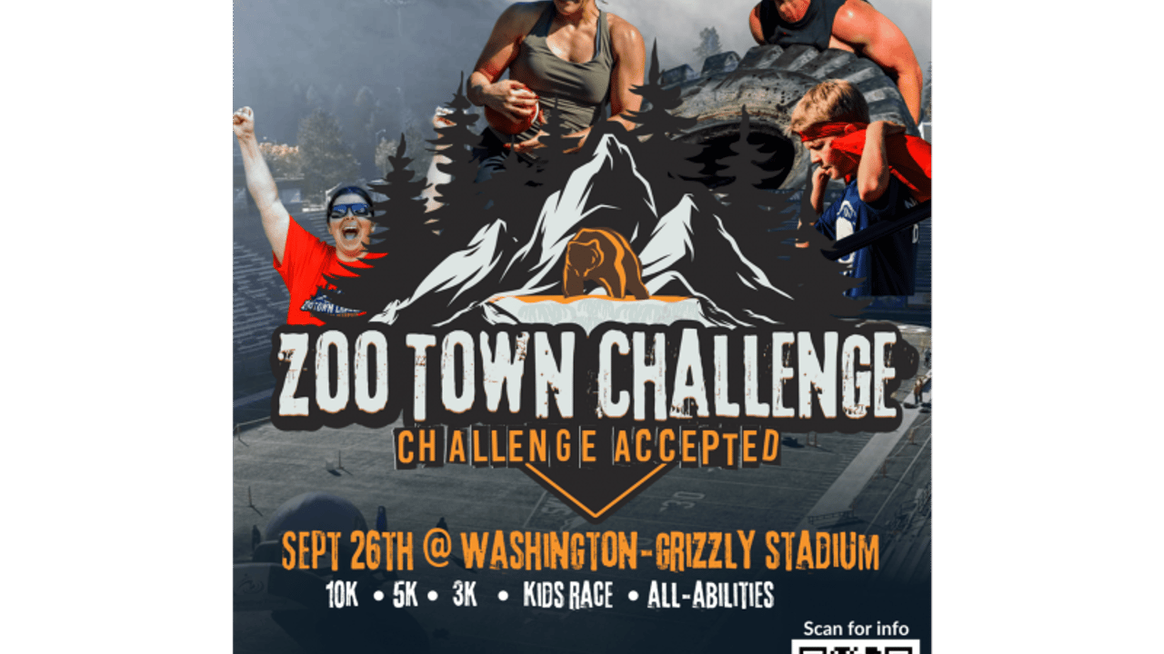 ZooTown Challenge