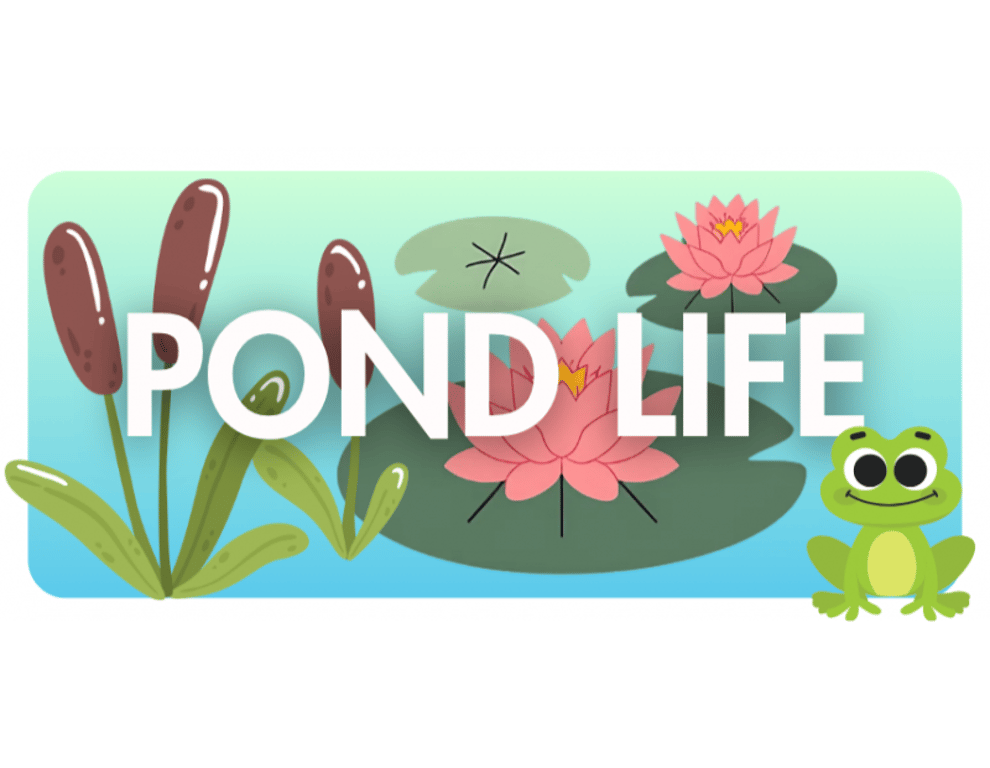 Pond Life - Bigfork: Early Learners (Ages 2-5) Workshop