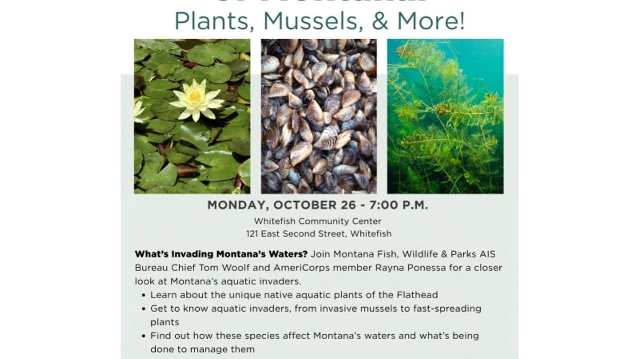 Aquatic Invaders of Montana