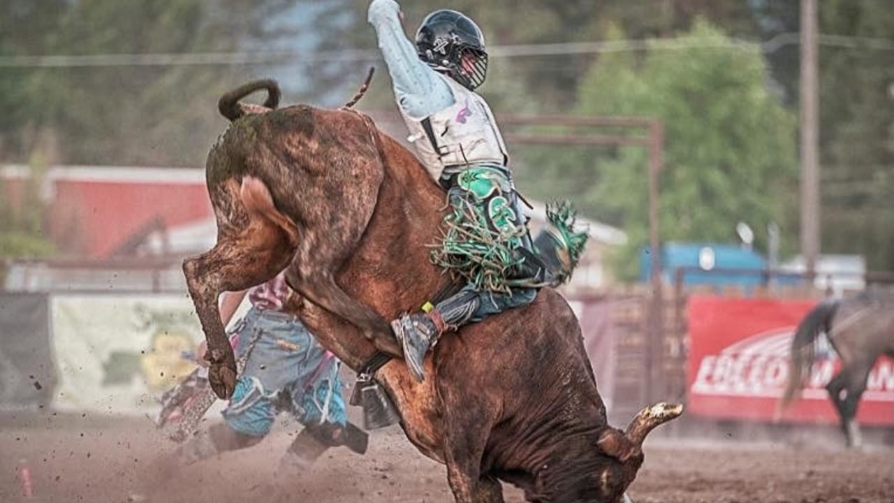 Brash Rodeo Summer Series