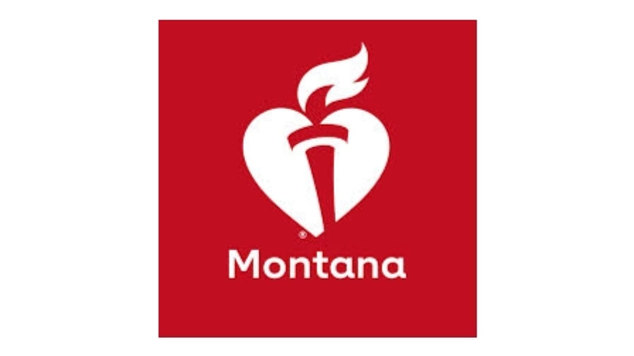 CPR and First Aid Training