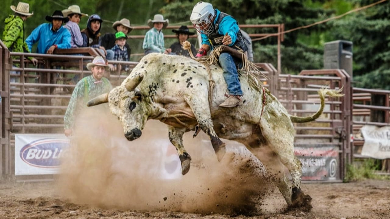 Brash Rodeo Summer Series