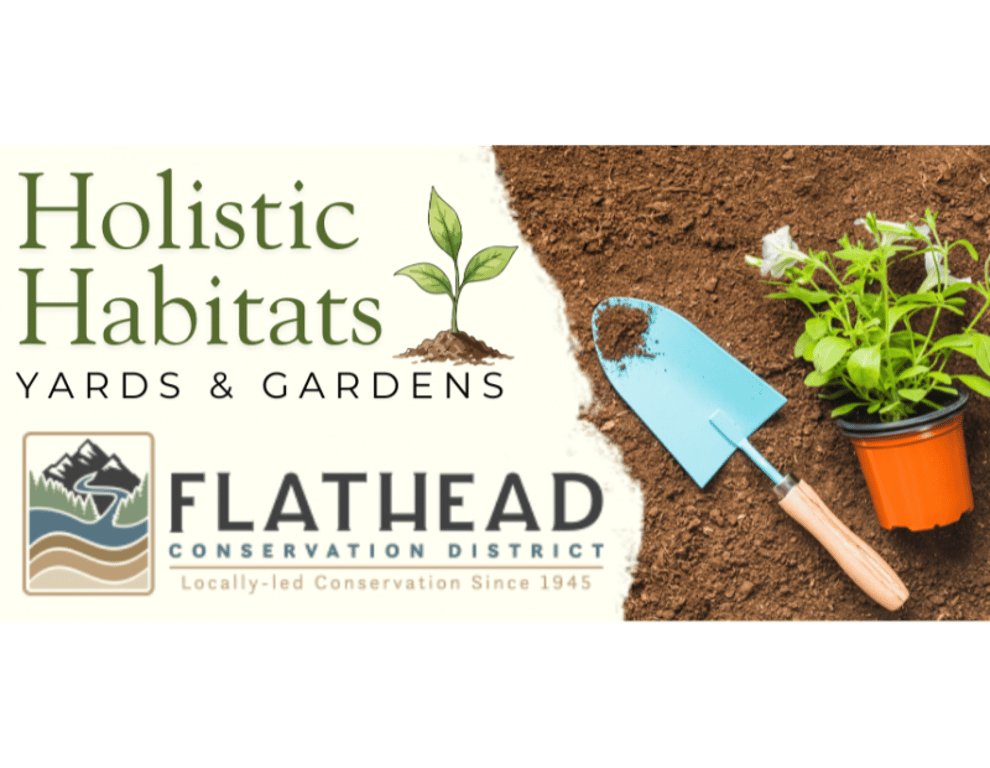 Holistic Habitat Yards & Gardens