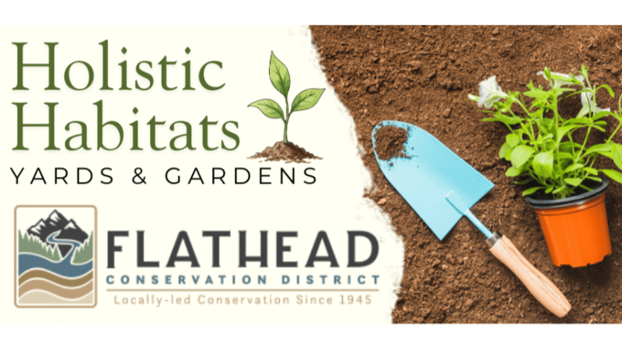 Holistic Habitat Yards & Gardens