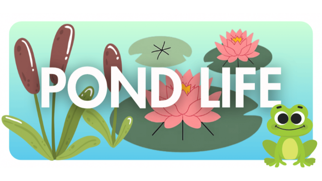 Pond Life - Bigfork Kids (Ages 6-10) Workshop