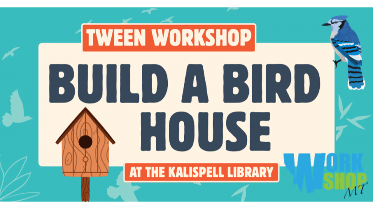 Build a Bird House with WORKSHOPMT (Grades 4-8)
