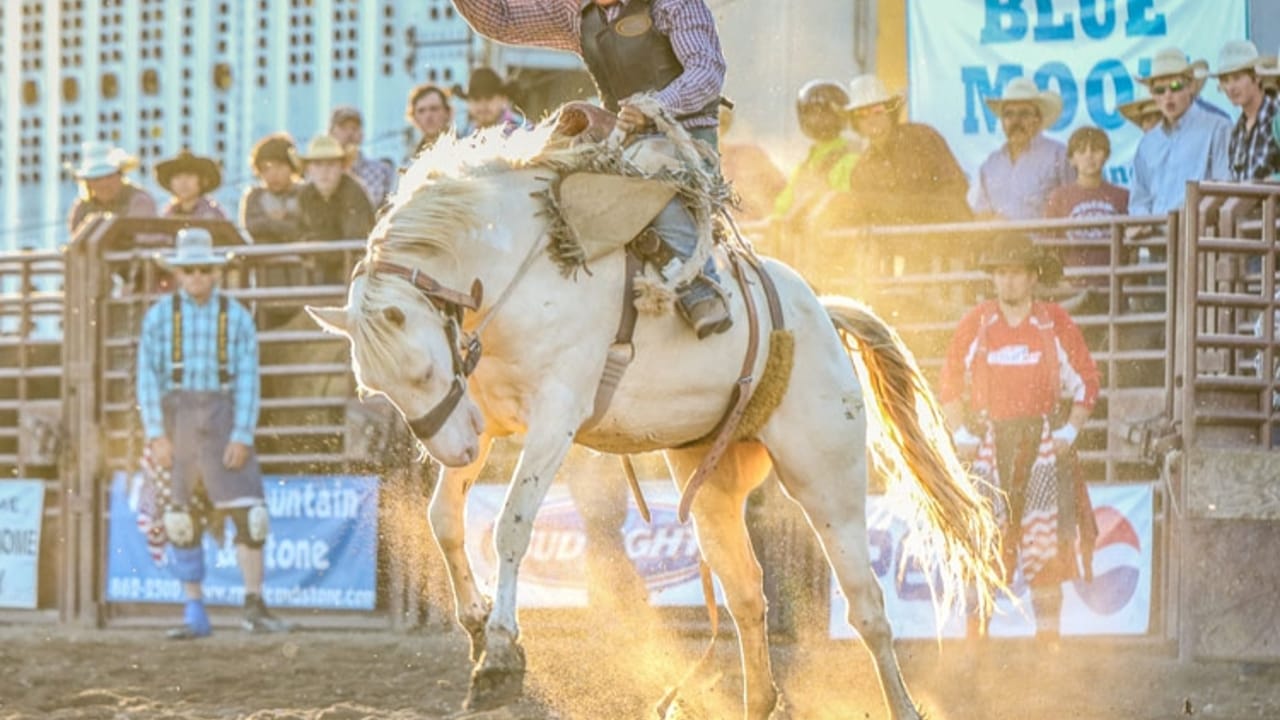 Brash Rodeo Summer Series