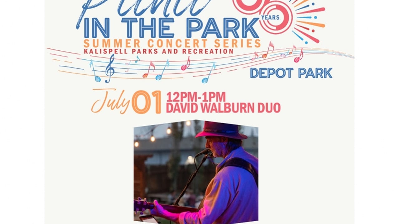 Picnic in the Park | David Walburn Duo