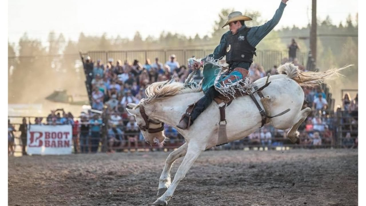 Brash Rodeo Summer Series