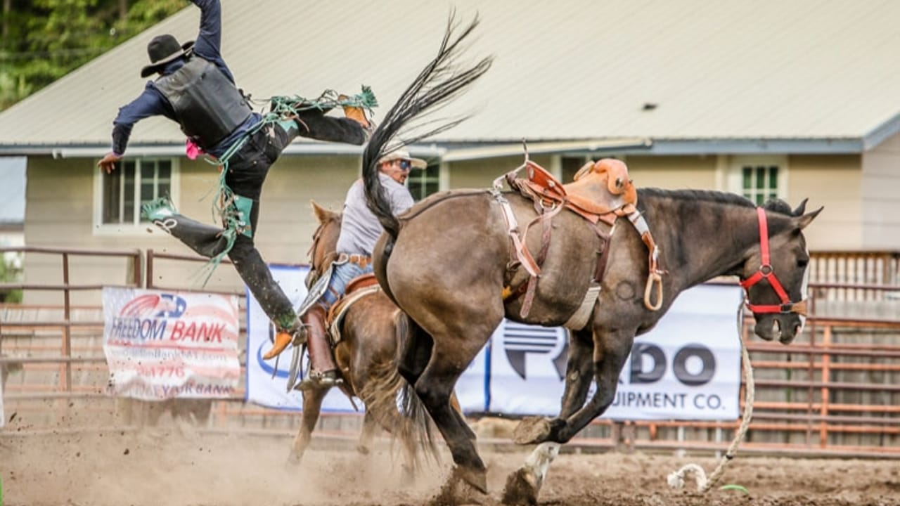 Brash Rodeo Summer Series