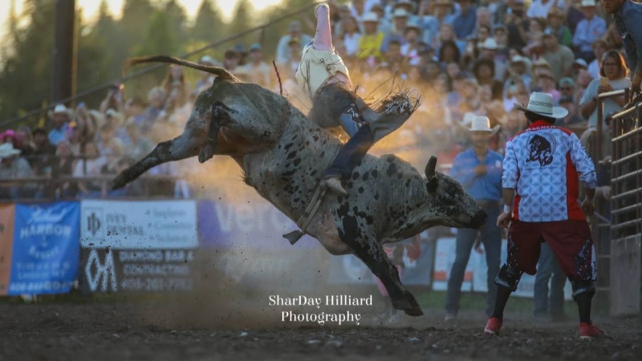 Rodeo - Beauties and the Beasts