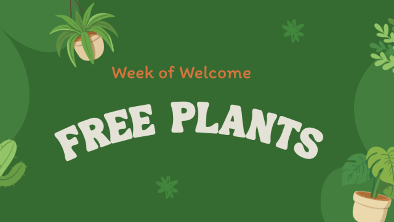 Grow into the Semester: Free plants and Planters