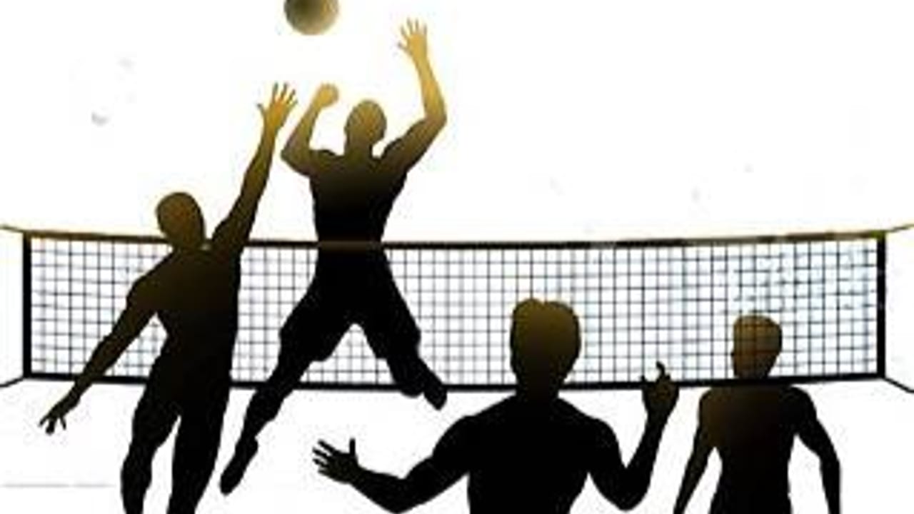 Volleyball Night