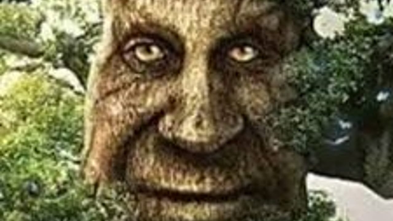 Brandons Game