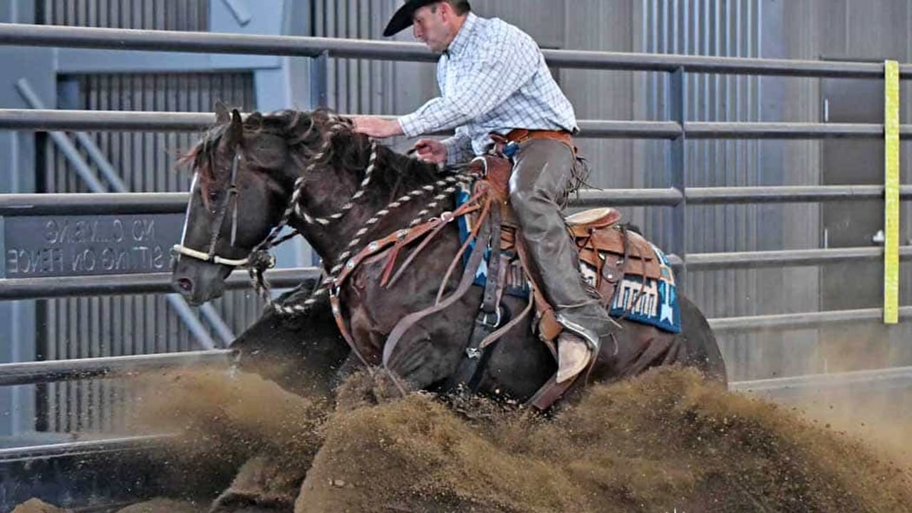 Montana Reined Cowhorse Futurity