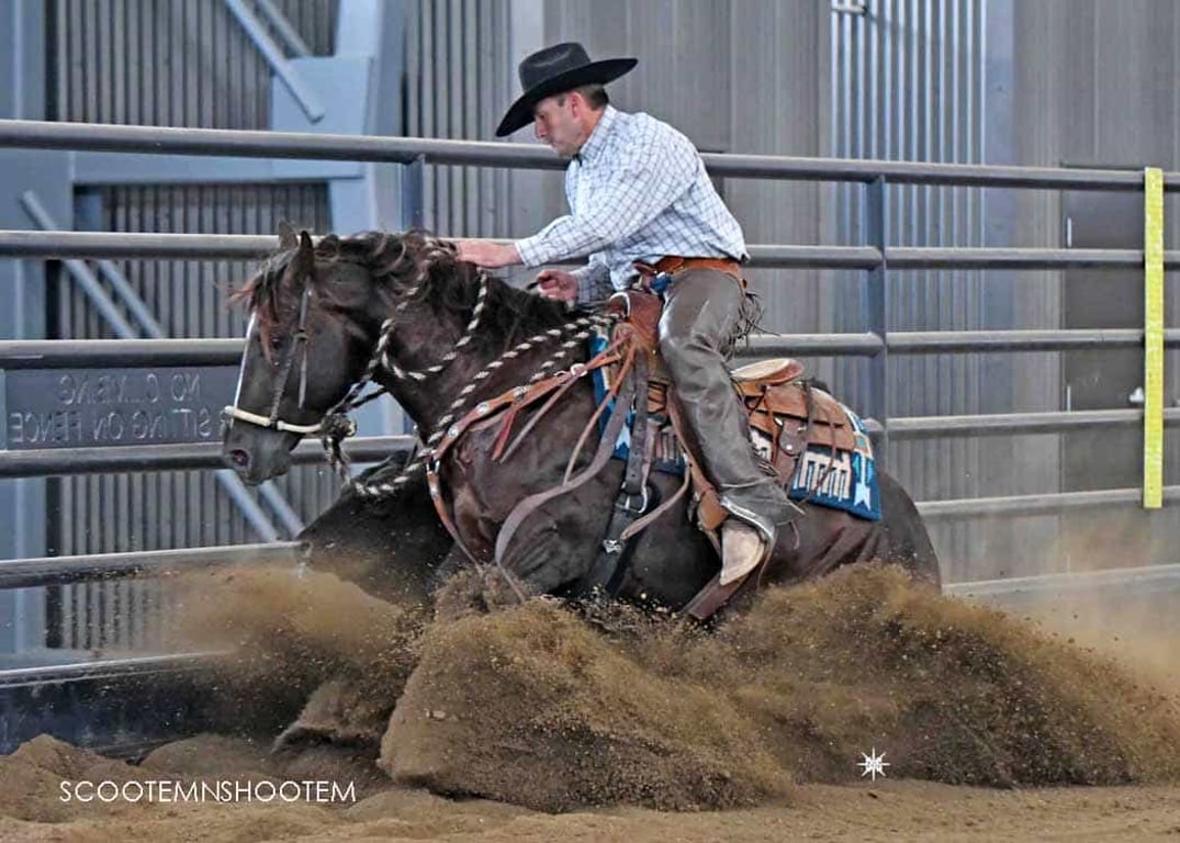 Montana Reined Cowhorse Futurity