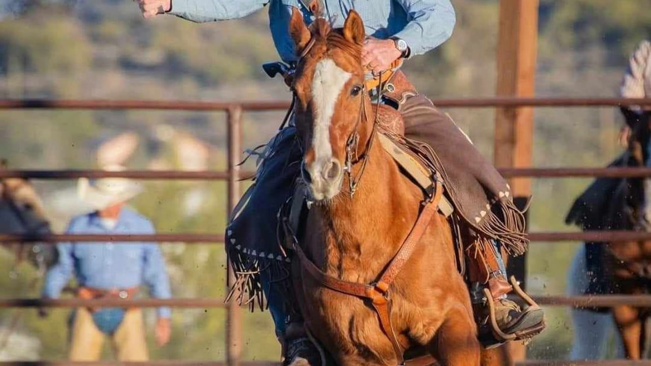 Mounted Shooting